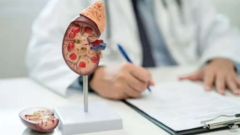 Diyaliz Girişimsel Tedavi İşlemleri