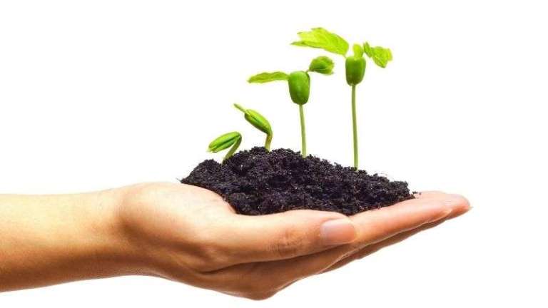 Tümör ve kanser girişimsel tedavisi