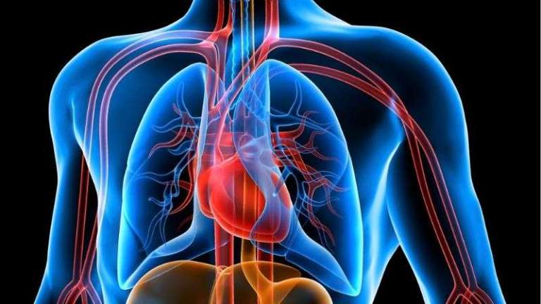 Kol atardamar tıkanıklığı