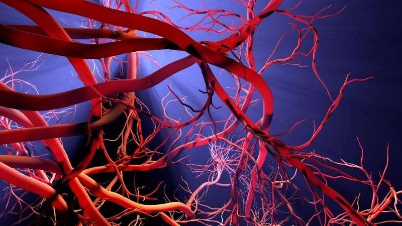 Hemanjiom ve vasküler malformasyon tedavileri