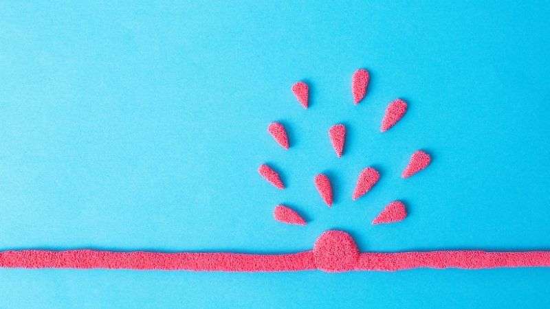 Organ anevrizmaları